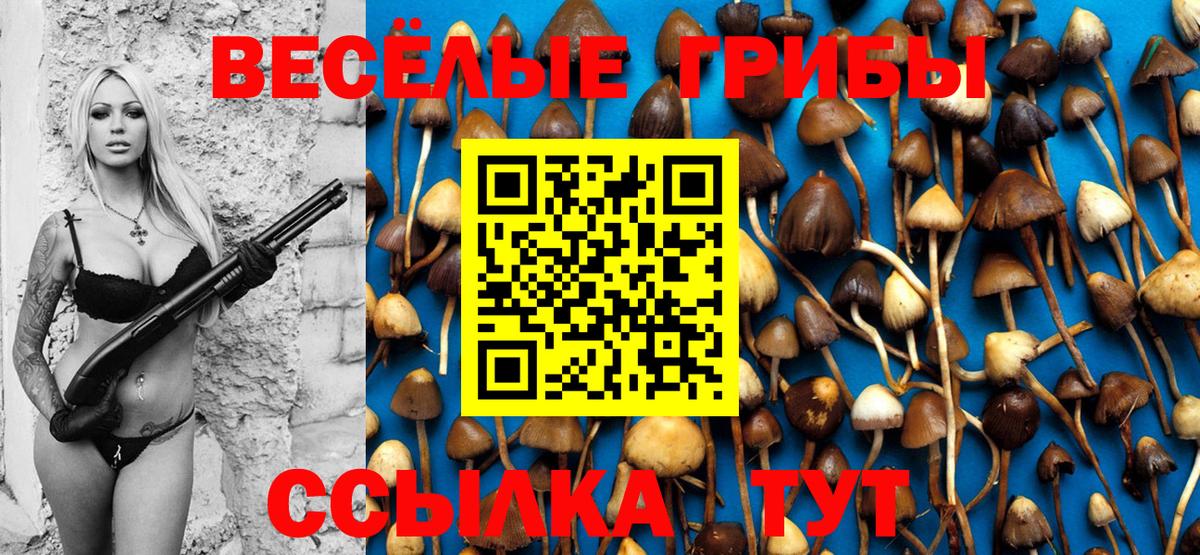 Ликино-Дулёво  Псилоцибиновые грибы GOLDEN TEACHER  Вход с VPN 