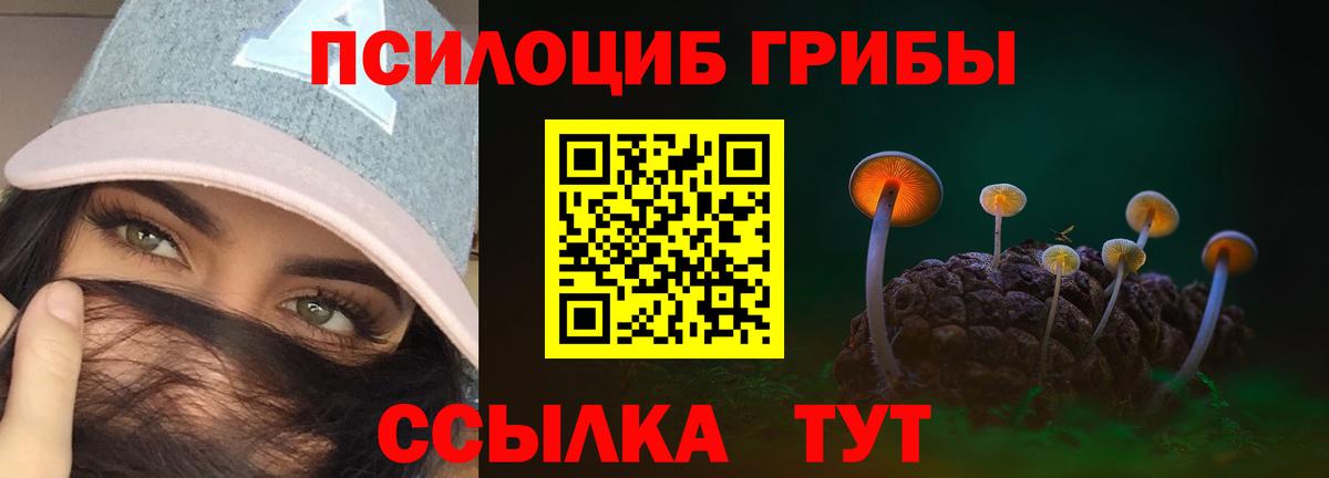Псилоцибиновые грибы прущие грибы Ликино-Дулёво